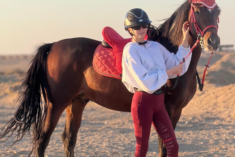 Hurghada: Swimming & Horse riding with FREE Photos & Videos 2-Hour Horse Swimming & Photos with Transfer