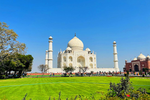 From Delhi: Taj Mahal Tour with Elephant Conservation Centre All Incl. Car + Guide + Tickets + Elephant + Lunch