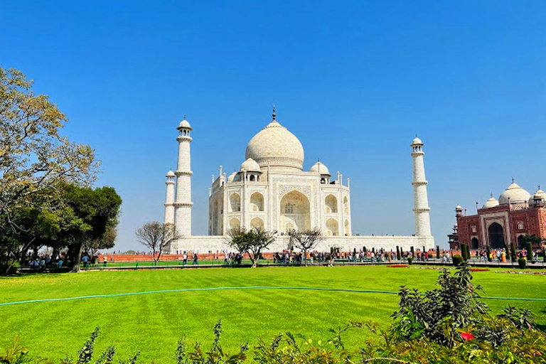 From Delhi: Taj Mahal Tour with Elephant Conservation Centre All Incl. Car + Guide + Tickets + Elephant + Lunch