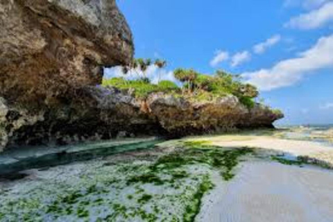 Jozani skog och mtende strand