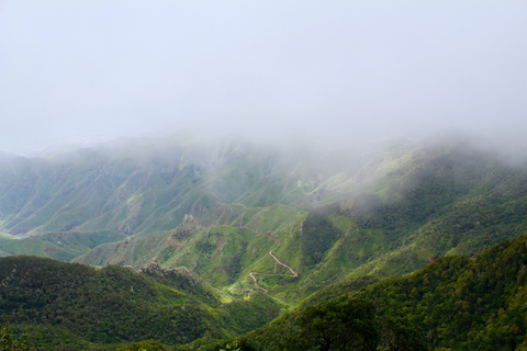 Baladerna Découverte La Laguna &amp; Anaga