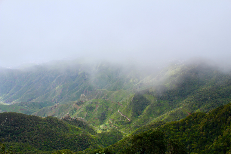 Baladerna Découverte La Laguna &amp; Anaga
