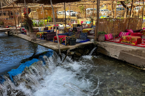 Desde Marrakech: montañas del Atlas, valle de Ourika y paseo en camello