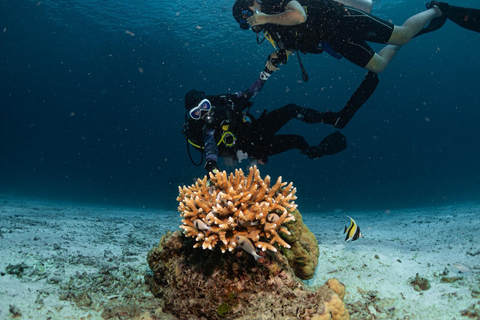 Phuket: Koh Racha Discovery Dive with Optional 2 or 3 Dives 3 Discovery Dives