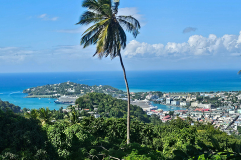 St Lucia: Restore in Nature. 1:1 Wellness Somatic Session