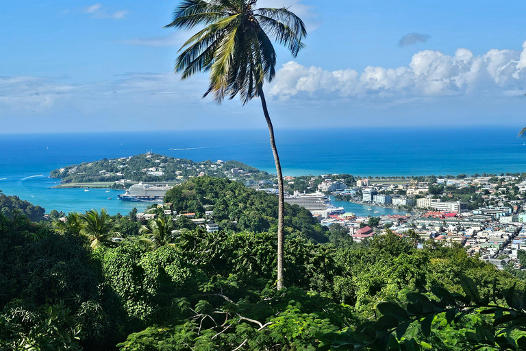 St Lucia: Restore in Nature. 1:1 Wellness Somatic Session