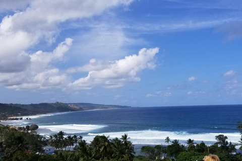 Barbados: Private Island Tour with Snacks and Water