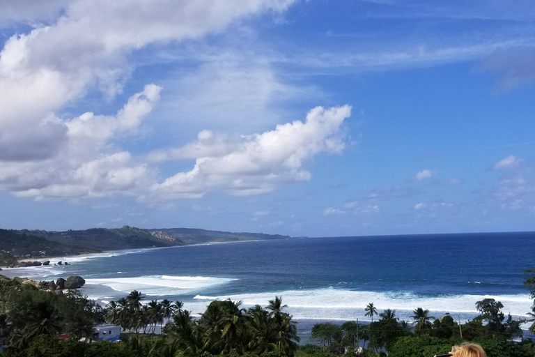 Barbados: Private Island Tour with Snacks and Water