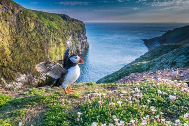 Wycieczka "Top Of The Highlands": John O' Groats, Caithness i nie tylkoPrywatny pojazd 5–7 pasażerów