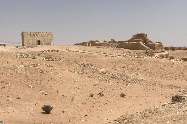 Excursion privée d'une journée de Salalah à Rub Al Khali