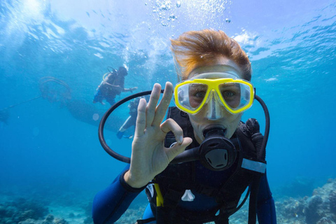 Kota Kinabalu: Snorkeling & Island Hopping Sapi & Manukan [With Hotel Transfer] Snorkeling & Island Hoping Day Tour