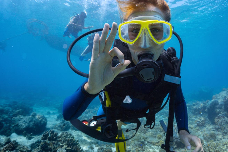 Kota Kinabalu: Snorkeling & Island Hopping Sapi & Manukan [With Hotel Transfer] Snorkeling & Island Hoping Day Tour