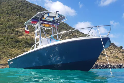 Saint Martin: Private boat trip with skipper