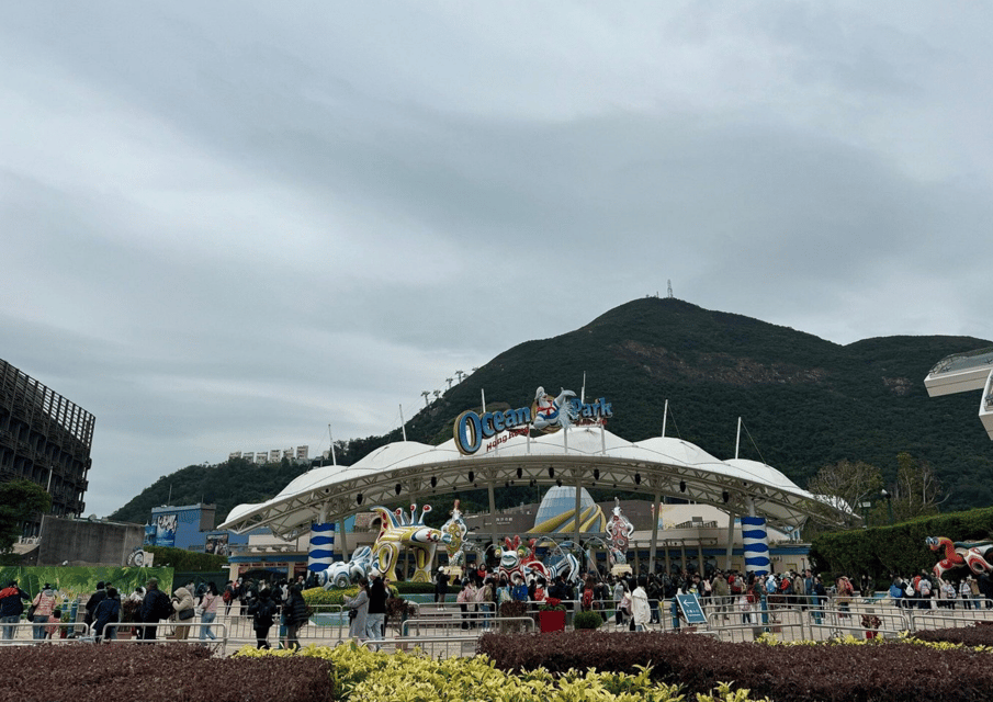 Hongkong Ocean Park Tour | GetYourGuide