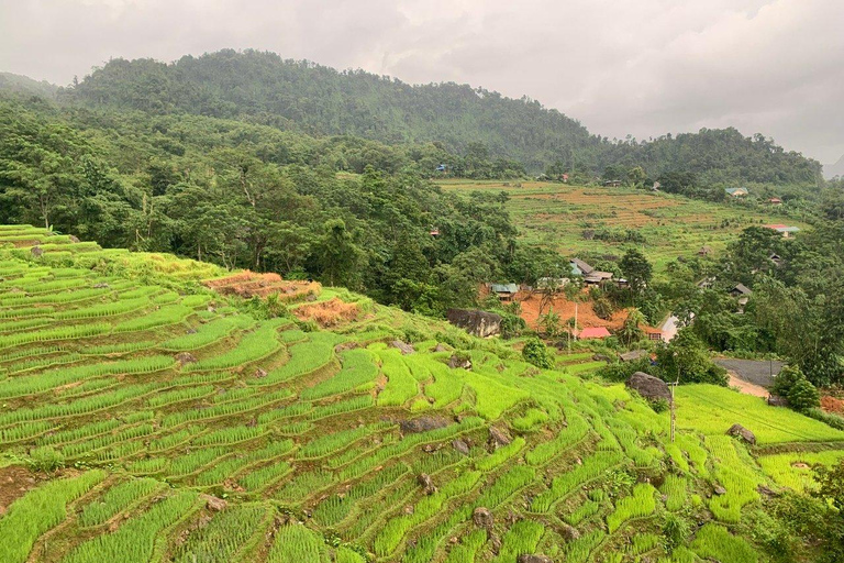 Från Hanoi till Pu Luong: 2-dagars dagsutflykt i etniska byar