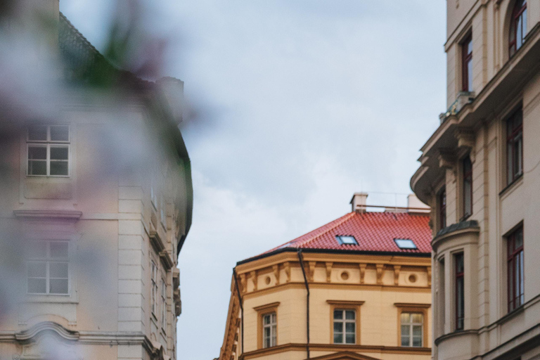 Rondleiding door de Oude en Nieuwe Stad van Praag en boottochtPrijs groepsreis