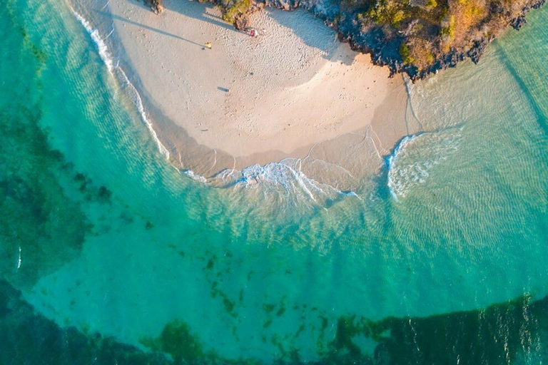 Mnemba Eco Snorkel,Dolphins,Starfish & Tumbatu Island Sunset