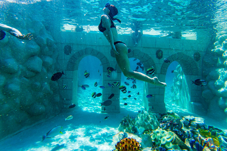 Seapark: Nadar em um aquário com criaturas autênticas