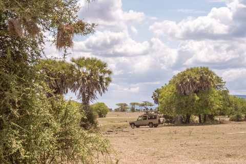 From Zanzibar: 2-Day Selous Safari with Flights & Lodge Stay 2-Day Selous Safari - Without Transfer