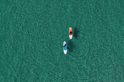 Jeju Aewol Seaside Retreat – SUP Adventure Golden Hour SUP Experience (2hrs. Rental)