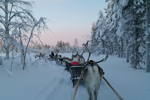 Levi: Paseo en trineo de renos de 3 kmVaami - paseo en trineo de renos de unos 3 km