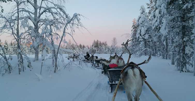 Trineo de renos y motos de nieve desde Kittilä 