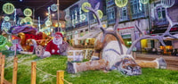Tour à vigo lumières de Noël plus pontevedra y compris bateau - Hizvo
