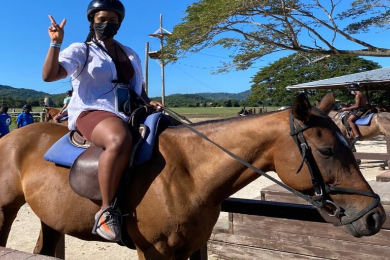 Privé paardrijden en zwemmen in Montego Bay