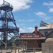 Melbourne: Ballarat Wildlife Park & Sovereign Hill Tour