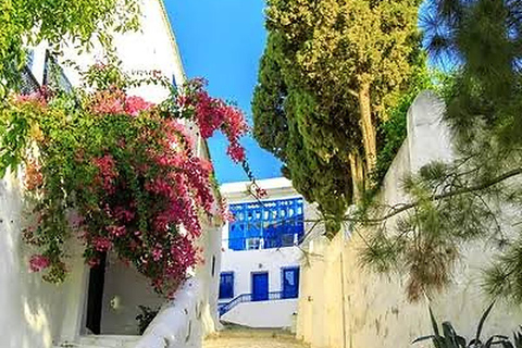 From Hammamet: Carthage, Sidi Bou Saïd & Medina, live guide + lunch From Hammamet: Carthage, Sidi Bou Said, and the Medina of Tunis