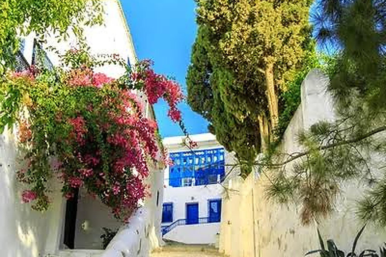 From Hammamet: Carthage, Sidi Bou Saïd & Medina, live guide + lunch From Hammamet: Carthage, Sidi Bou Said, and the Medina of Tunis