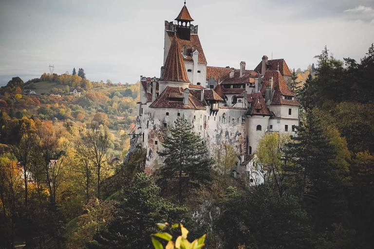 Brașov: Peles, Bran, Rasnov, & Valea Cetatii Day Trip