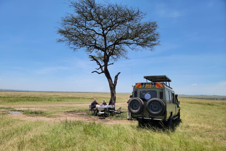 FROM NAIROBI: 3 DAYS MAASAI MARA SMALL GROUP SAFARI BY 4WD