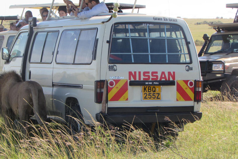 From Nairobi: 5-Day Samburu and Meru National Parks Safari