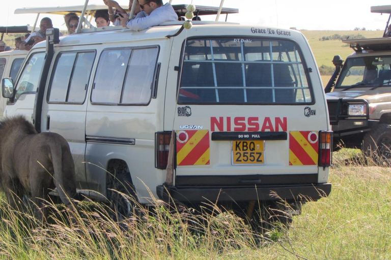 From Nairobi: 5-Day Samburu and Meru National Parks Safari