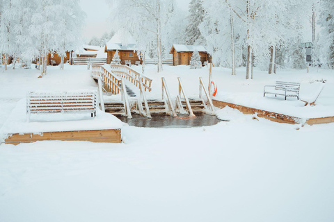 Rovaniemi: Private Wood-Heated Lakeside Sauna & Arctic Bath