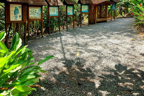 Santa Lúcia: Caminhada pela natureza e fuga do jardim botânico