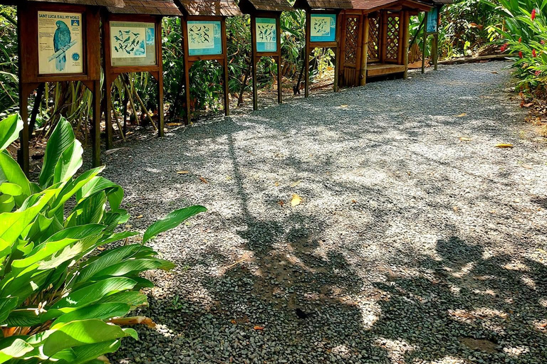 Santa Lúcia: Caminhada pela natureza e fuga do jardim botânico