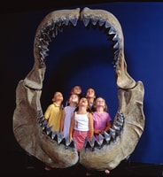 Teruel，Dinopólis入口票 - Housity