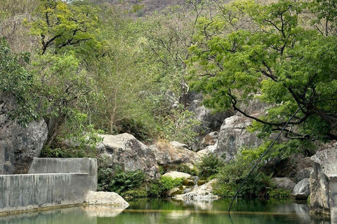 Salalah: tour della parte orientale di Salalah con Wadi e Museo di SumhuramSalalah: tour della parte orientale di Salalah con Wadi e Museo Sumhuram