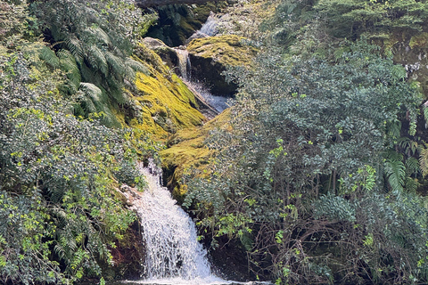 Discovery Cruise Te Anau Fiordland Discovery Cruise