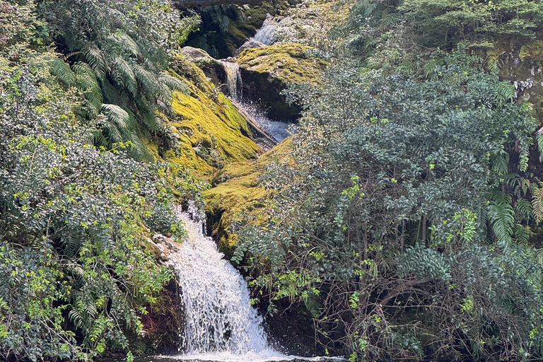 Discovery Cruise Te Anau Fiordland Discovery Cruise