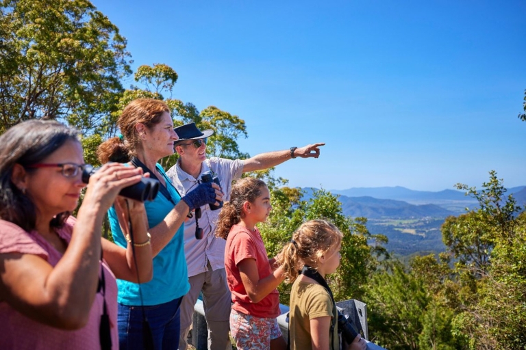 From Cairns: Rainforest & Nocturnal Wildlife Tour Tour from Central Cairns