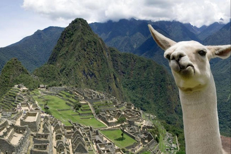 From Cusco: Machu Picchu Day Tour with Panoramic Train From Cusco: Full-day group tour to Machu Picchu and panoramic train