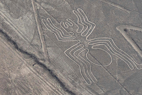 Servizio privato da Lima | Volo sulle Linee di NazcaLima | Volo sulle linee di Nazca + Ica Huacachina