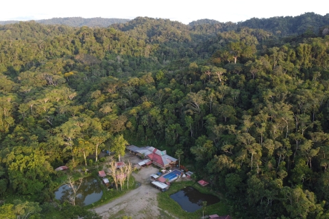 360 Jungle Tour Expeditie Amazonia Ecuador