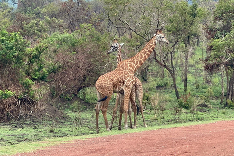 Kigali: Excursión de lujo de un día al Parque Nacional de Akagera con paseo en barco
