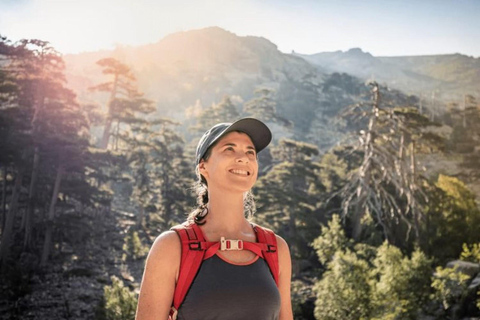 Frome Marrakech : Randonnée d'une journée au sommet du Tedli dans les montagnes de l'Atlas