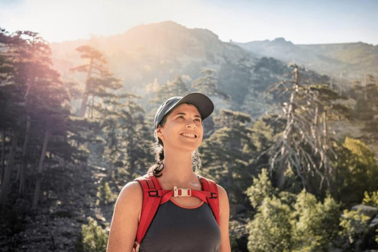 Vane Marrakech: Atlasgebergte Tedli top dagwandeling