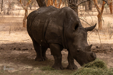 Rezerwat dzikiej przyrody Bandia i wycieczka nad różowe jezioro